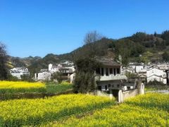 -布歌东京(德基BHG店)