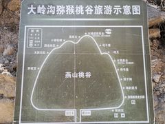 -大岭沟猕猴桃谷风景区