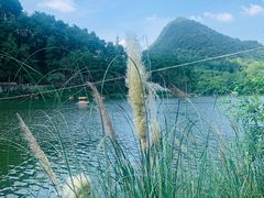 -黔灵山公园