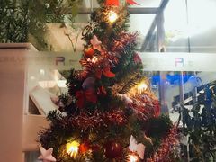 -圣典成人钢琴俱乐部(国贸旗舰校区)