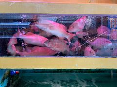 -江杨农产品批发市场