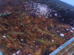 -聚盛源蒸汽海鲜火锅烤肉自助(巨川金海岸购物广场店)