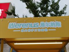 -维尔纳斯·生日蛋糕动物奶油冰淇淋蛋糕(人大店)