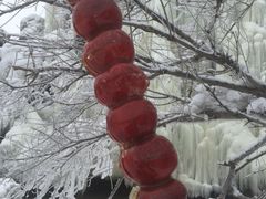 -雾凇岛