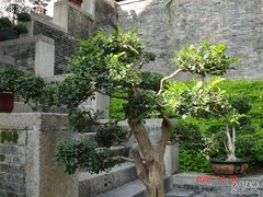 -南沙天后宫景区