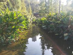 -重庆彩云湖湿地公园