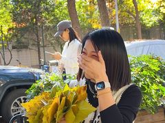 -三里屯东五街银杏大道