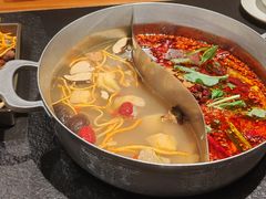 -滇牛云南火锅(桂林路店)