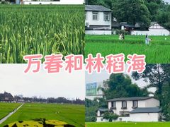 -老鼎万春卤菜(五代传承创始老店)