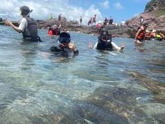 -双月湾小星山潜水·浮潜俱乐部