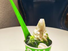 -Salud撒露欧洲冻酸奶(798艺术区店)