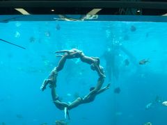 -瑞德姆美人鱼海底演艺主题餐厅(亚龙湾店)
