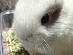 -万达广场(南京江宁店)