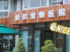 -爱侣宠医·鹦鹉专科·小型哺乳类·异宠专科(灵石路店)
