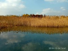 -太湖湖滨国家湿地公园-停车场