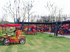 -上海长兴岛郊野公园