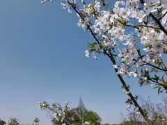 -嘉北郊野公园
