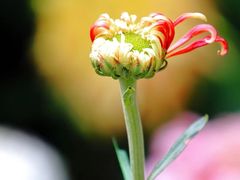 -共青国家森林公园-南大门停车场