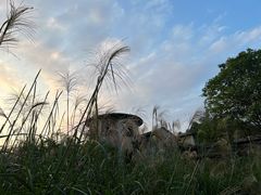 -南山植物园