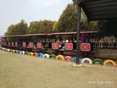 -武汉紫薇都市田园