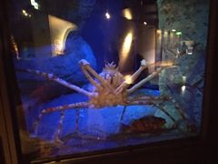 -西海国立公园九十九岛水族馆