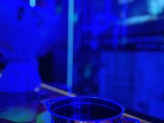 -拉动时代自助KTV火吧(3号店)