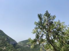 -佛慧山