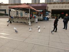 -陕西自然博物馆