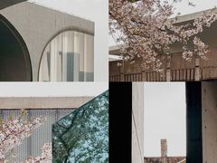 -龙美术馆(西岸馆)
