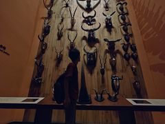 -Behring World of Animals(上海自然博物馆店)