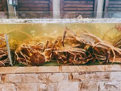 -蟹之国·精品蟹料理(极地店)