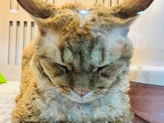 -乐宠宠物店(世纪金源店)