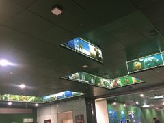 -中国科学技术馆影院