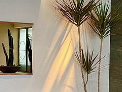 -Highline·城市露台景观餐厅(淮海路店)