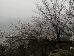 -望峪山庄