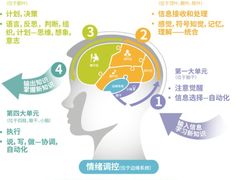 -多特儿童专注力·感统训练·注意力提升培训(锦峰训练中心)