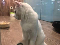 -宠物世家(仲盛世界商城店)