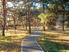 -国家植物园南园