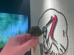 -鹤茶野所(上海首店)