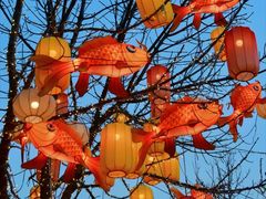 -龙湖星悦荟(颐和店)