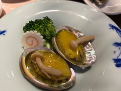 -黑松白鹿(新活馆店)