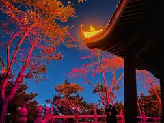-福神岗公园