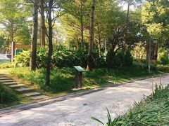 -王借岗森林公园