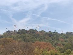 -东湖磨山景区