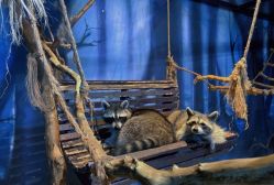 -酷嗒动物文化乐园(cutezoo西溪乐天城店)