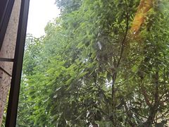 -梅间堂茶馆(绿地缤纷城店)