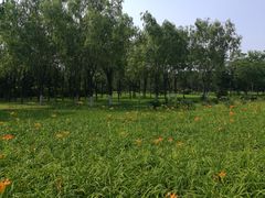 -鉴湖国家城市湿地公园