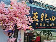 门面-蘑统田下·野生菌火锅