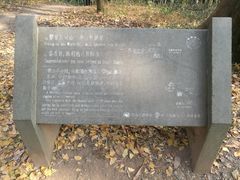 -西湖风景区十里琅珰-五云山