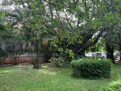 -南国桃园旅游度假区